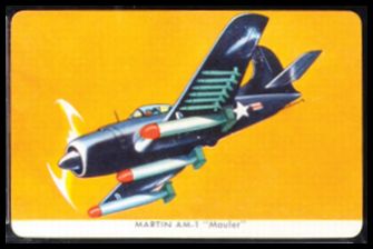 Martin AM-1